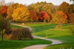 Arboretum