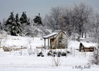 Childrens Garden in winter