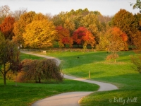 Autumn colors