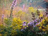 autumn prairie