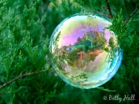 Bubble landscape