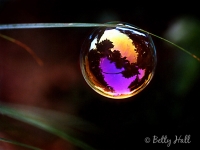 Bubble on grass