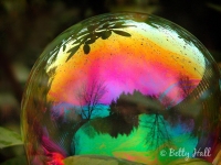 Magic bubble