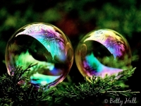 Two bubbles