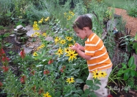 Boy looking for insects