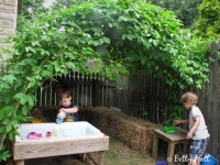 Brothers at play in Passion Flower hideout