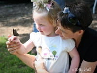 Butterfly on young girl's hand
