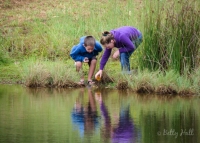 Exploring a pond
