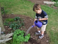 Young boy using garden sprinkler