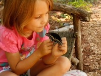Young girl observing butterfly