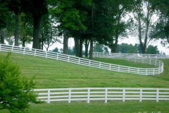 Kentucky