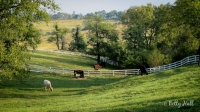 Shaker Village pastoral scene