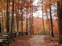 autumn-in-kentucky