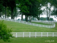 kentucky-white-fences