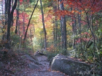 natural-brige-state-park-october