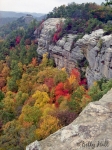 red-river-gorge-auxier-ridge