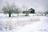 Winter in the country