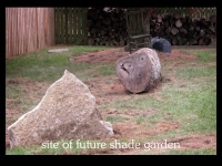 our-backyard-story-11