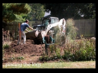 our-backyard-story-12