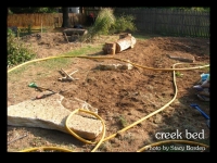 our-backyard-story-17