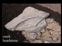 our-backyard-story-19