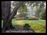 our-backyard-story-2
