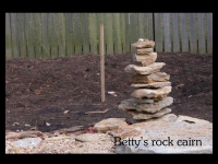our-backyard-story-20