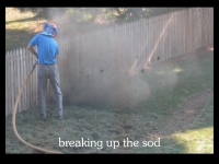 our-backyard-story-22