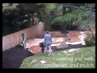 our-backyard-story-23