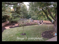 our-backyard-story-24