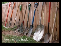 our-backyard-story-25