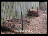 our-backyard-story-27