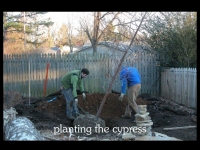 our-backyard-story-28