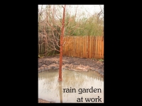 our-backyard-story-29