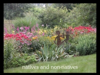 our-backyard-story-3