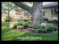 our-backyard-story-32