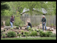 our-backyard-story-33