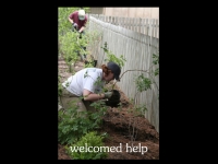 our-backyard-story-34
