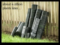 our-backyard-story-35