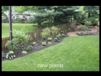 our-backyard-story-36