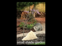 our-backyard-story-37