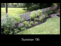 our-backyard-story-42