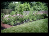 our-backyard-story-43