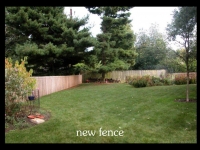 our-backyard-story-5