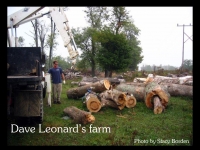 our-backyard-story-8