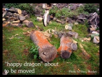 our-backyard-story-9
