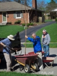 Neighbors getting new trees