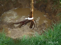 Water is added
